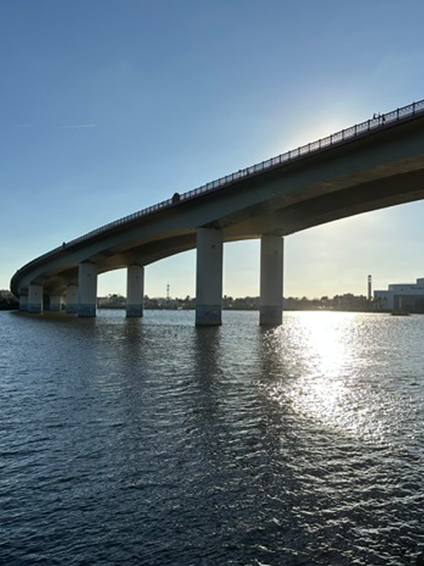 Palm Coast