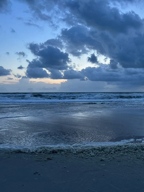 Palm Coast