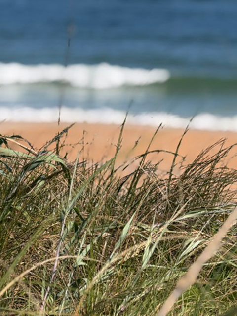 Ormond Beach